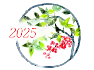26007494.png